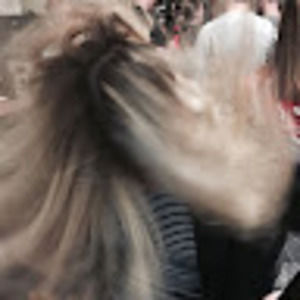 Meet your Posher, Sophie